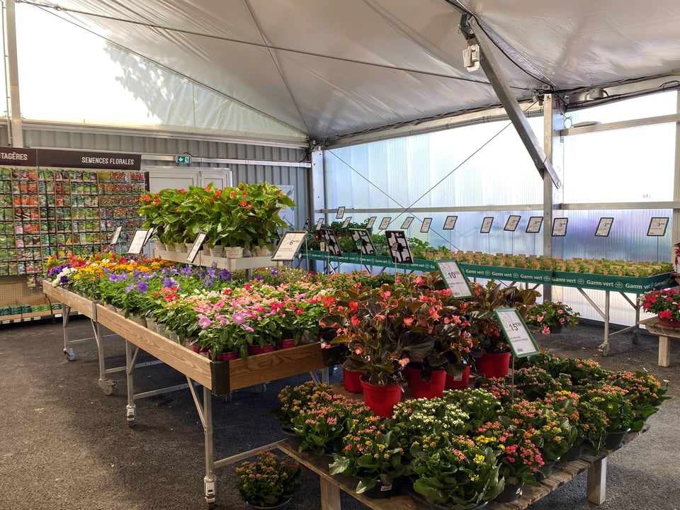Structure modulaire vente de fleurs